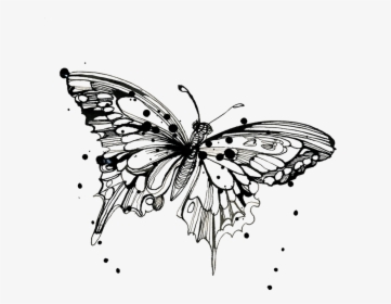 Tattly Temporary Tattoos Monarch Butterfly Drawing - Gold Butterfly Transparent Background, HD Png Download, Transparent PNG