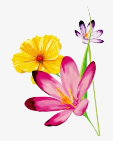 Cotton Clipart Magnolia Watercolor - Png Clipart Flower Watercolor Flowers Png, Transparent Png, Transparent PNG
