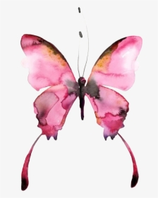 #butterfly #watercolor #picture @pilikfrosya #freetoedit - Butterfly Watercolor Art, HD Png Download, Transparent PNG