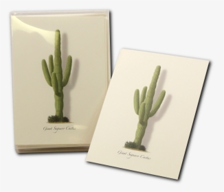 Shopping Cart -  -  - Hedgehog Cactus - San Pedro Cactus, HD Png Download, Transparent PNG