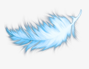 Transparent Blue Feather Png - Transparent Teal Blue Feathers, Png Download, Transparent PNG