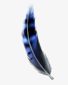 Jay Feather Png - Blue Jay Feather Drawing, Transparent Png, Transparent PNG
