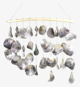 Shell Window Curtain -placuna/12, HD Png Download, Transparent PNG