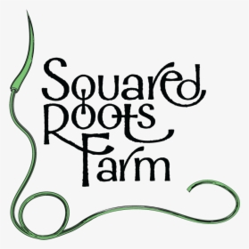 Squared Roots Farm Logos Alternate No Stroke - Calligraphy, HD Png Download, Transparent PNG