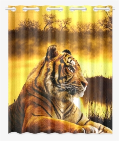 Tiger And Sunset New Window Curtain - London Zoo, HD Png Download, Transparent PNG