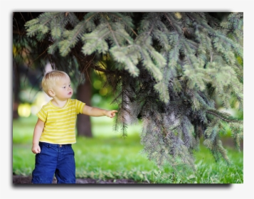 Placeholder Image - Toddler, HD Png Download, Transparent PNG