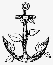 Anchor Roots, HD Png Download, Transparent PNG