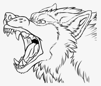 Transparent Wolf Face Clipart - Wolf Snarling Side View Drawing, HD Png Download, Transparent PNG