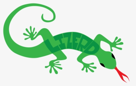 Lizerd Lizard Nickname Tongue Reptile - Lizard Illust, HD Png Download, Transparent PNG