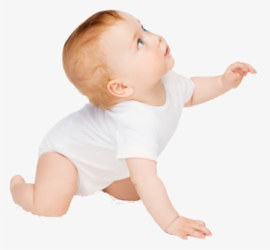 Infant Child Crawling - Fan, HD Png Download, Transparent PNG