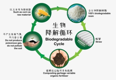 Biodegradable Cycle, HD Png Download, Transparent PNG