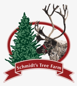 Schmidt S Tree Farm Logo - Christmas Tree, HD Png Download, Transparent PNG