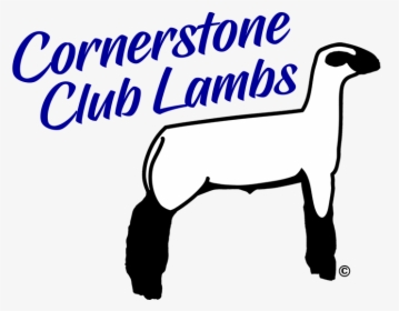 Club Lamb Logo, HD Png Download, Transparent PNG
