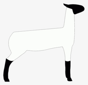 club lamb clip art