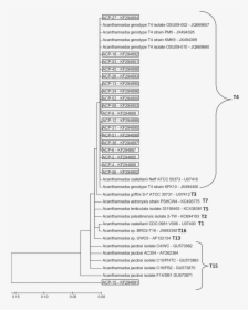 Document, HD Png Download, Transparent PNG
