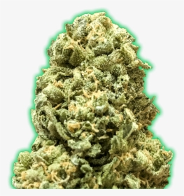 Monster Girl Scout Cookies Feminised Seeds   Title - Rock, HD Png Download, Transparent PNG