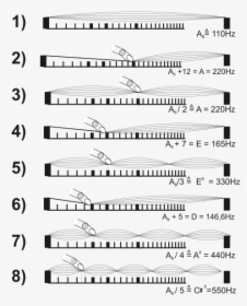 String Harmonics, HD Png Download, Transparent PNG