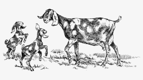 Goat Clipart Foot - Cartoon, HD Png Download, Transparent PNG