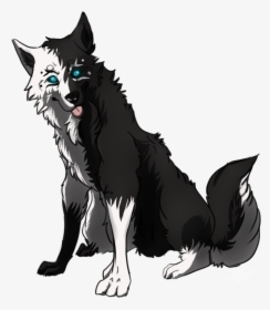 Dog Breed Black Wolf Pack Wolfdog Arctic Wolf - White Wolf With Black Paws, HD Png Download, Transparent PNG