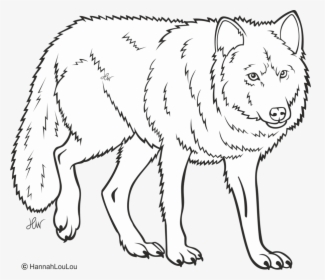 Wolf Line Drawing Png, Transparent Png, Transparent PNG