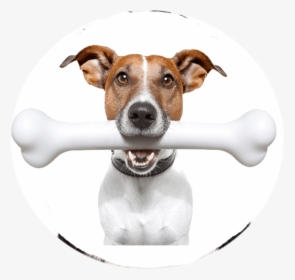 Clip Art Dog Barking Images - Bone For A Dog, HD Png Download, Transparent PNG