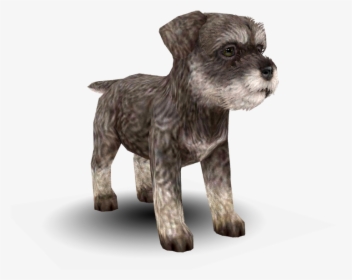Download Zip Archive - Nintendogs And Cats Schnauzer, HD Png Download, Transparent PNG