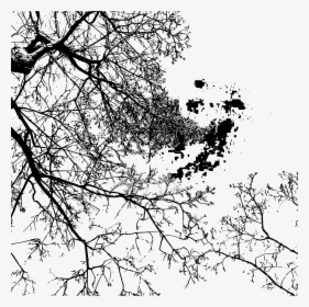 Branches By Stylistica Clip Arts - Monochrome, HD Png Download, Transparent PNG