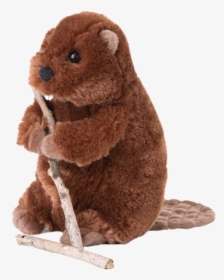 Beavers Stuffed Animals Transparent, HD Png Download, Transparent PNG