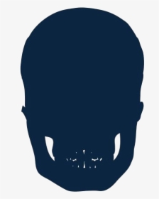 Transparent Skull Art Clipart, Skull Art Png Image - Illustration, Png Download, Transparent PNG