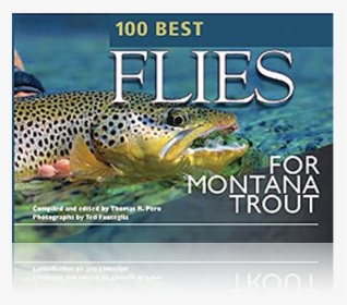 Trout, HD Png Download, Transparent PNG