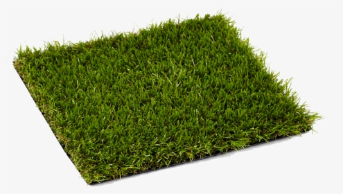 London Artificial Grass - Synthetic Grass Png, Transparent Png, Transparent PNG