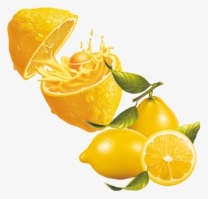 Juice Lemonade Clip Art - Real Fruit Illustration, HD Png Download, Transparent PNG