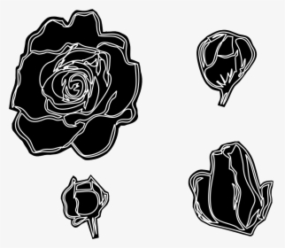 Transparent Black Rose Petals Png, Png Download, Transparent PNG