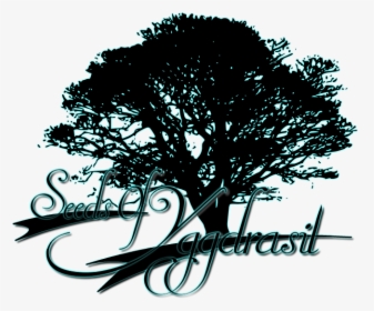Picture - Banyan Tree Silhouette Png, Transparent Png, Transparent PNG