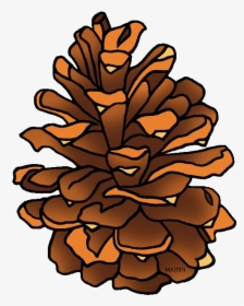 Clipart Pine Cone - Pine Cone Clipart Png, Transparent Png, Transparent PNG