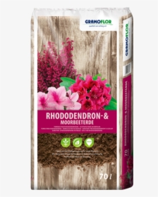 Rhododendron, HD Png Download, Transparent PNG