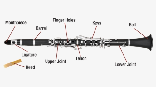 Parts Of A Clarinet With Diagram, HD Png Download, Transparent PNG