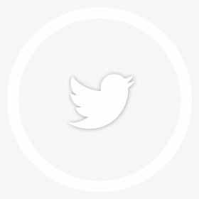 صوره تويتر, HD Png Download, Transparent PNG