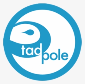 Transparent Tadpole Png - Mobiles, Png Download, Transparent PNG