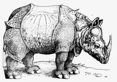 10 Facts About To-be Extinct Northern White Rhinoceros - Albrecht Durer, HD Png Download, Transparent PNG