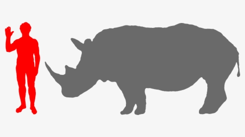 Rhino Clipart Big 5 - Moeritherium, HD Png Download, Transparent PNG