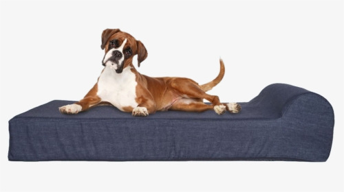 Dog On Bed - Memory Foam Orthopedic Dog Bed, HD Png Download, Transparent PNG