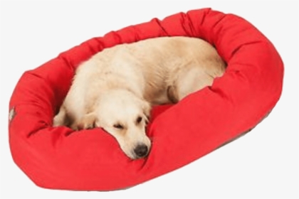 Transparent Dog Bed Clipart - Companion Dog, HD Png Download, Transparent PNG