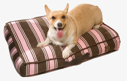 Classic Pillow Beds - Companion Dog, HD Png Download, Transparent PNG