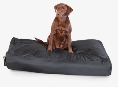 Smoothy Classic Dog Bed Xxl - Labrador Retriever, HD Png Download, Transparent PNG