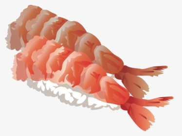 Transparent Krill Clipart - Shrimp Sushi Clip Art, HD Png Download, Transparent PNG