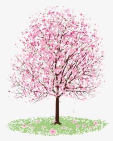 Pink Chinese Tree Drawing, HD Png Download, Transparent PNG