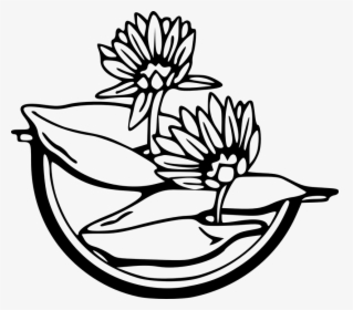 Water Black And White Free Vector Graphic Flowers Black - Clip Art Free Water Lily, HD Png Download, Transparent PNG