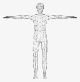 Humans Clipart Wireframe - Clipart Human Body, HD Png Download, Transparent PNG