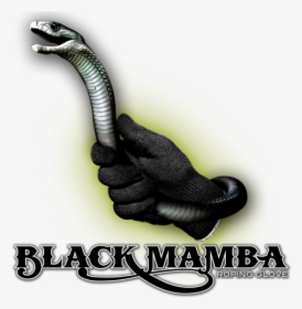 Black Mamba Png Image - Snake, Transparent Png, Transparent PNG